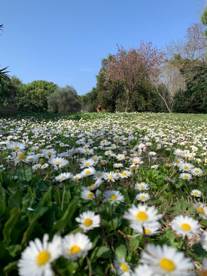 Frühstückspension Le Jardin De Lacoste Narbonne