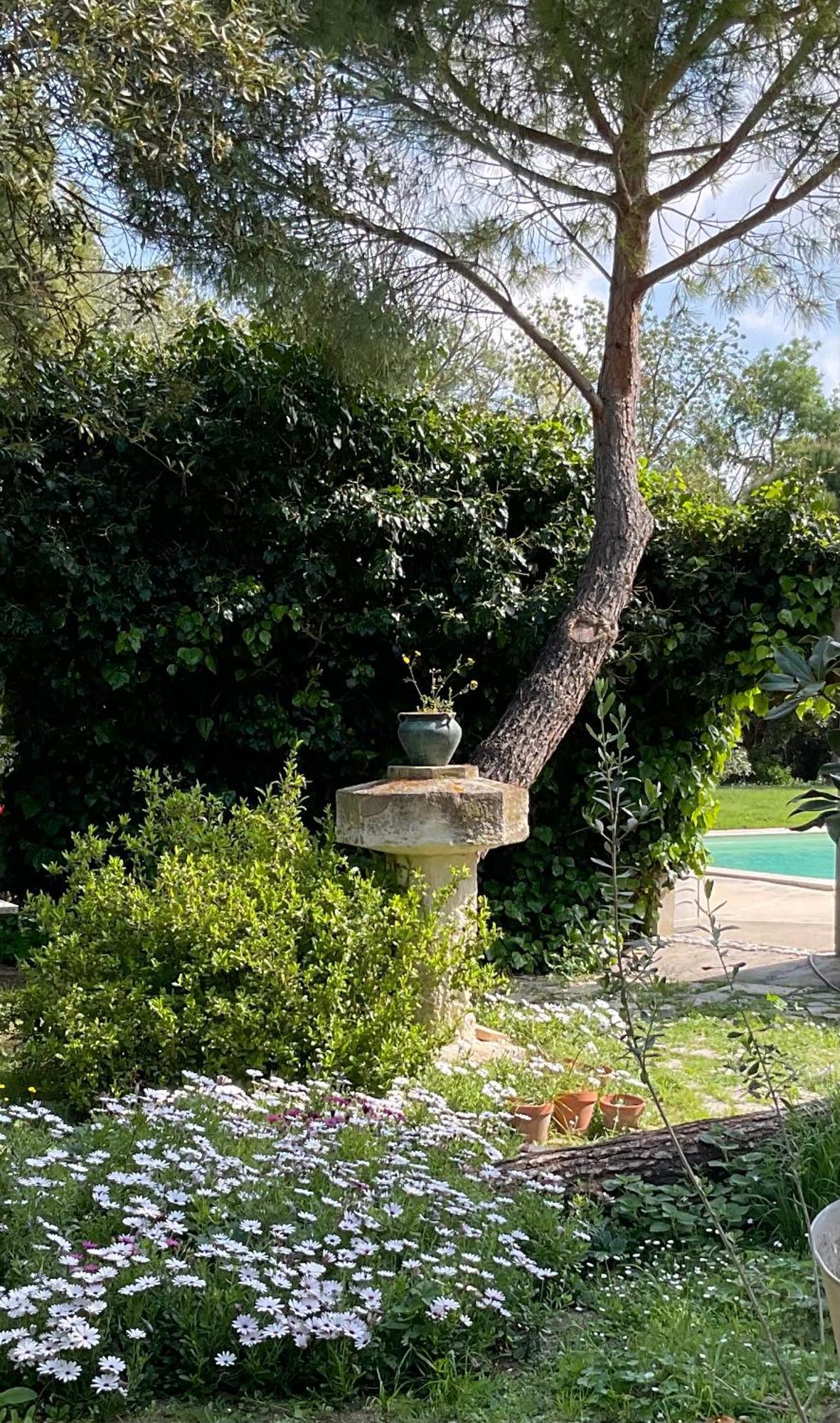 Le Jardin De Lacoste Narbonne